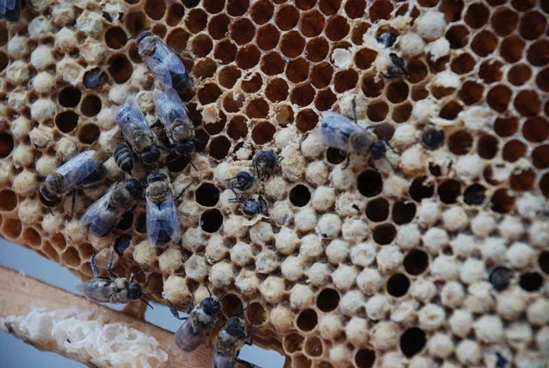 Liahnutie trúda - 1