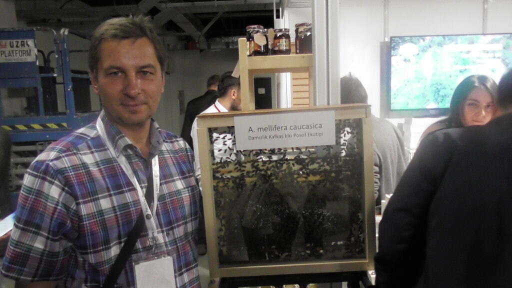 ISTANBUL, TURECKO - AUGUST 2022 - 3